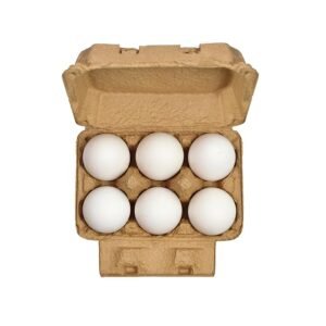Fresh Eggs, Pack of 6